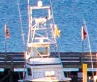 Main Feature 2